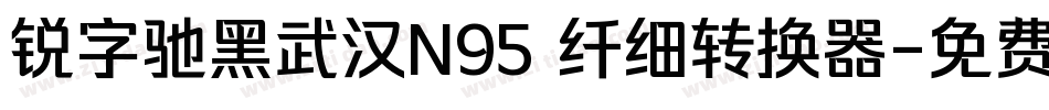 锐字驰黑武汉N95 纤细转换器字体转换
